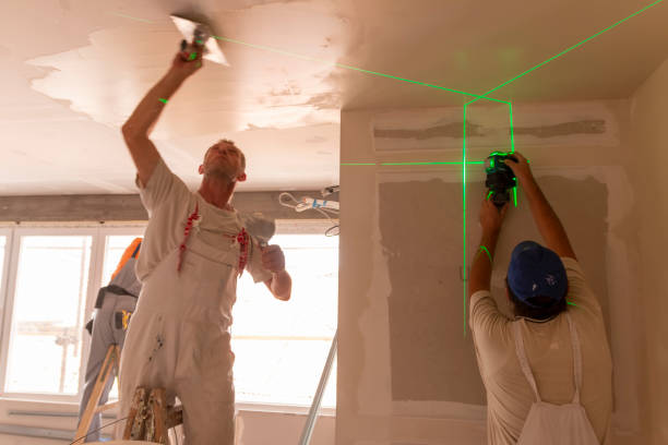 Best Mold Remediation for Healthcare Facilities  in Malverne, NY